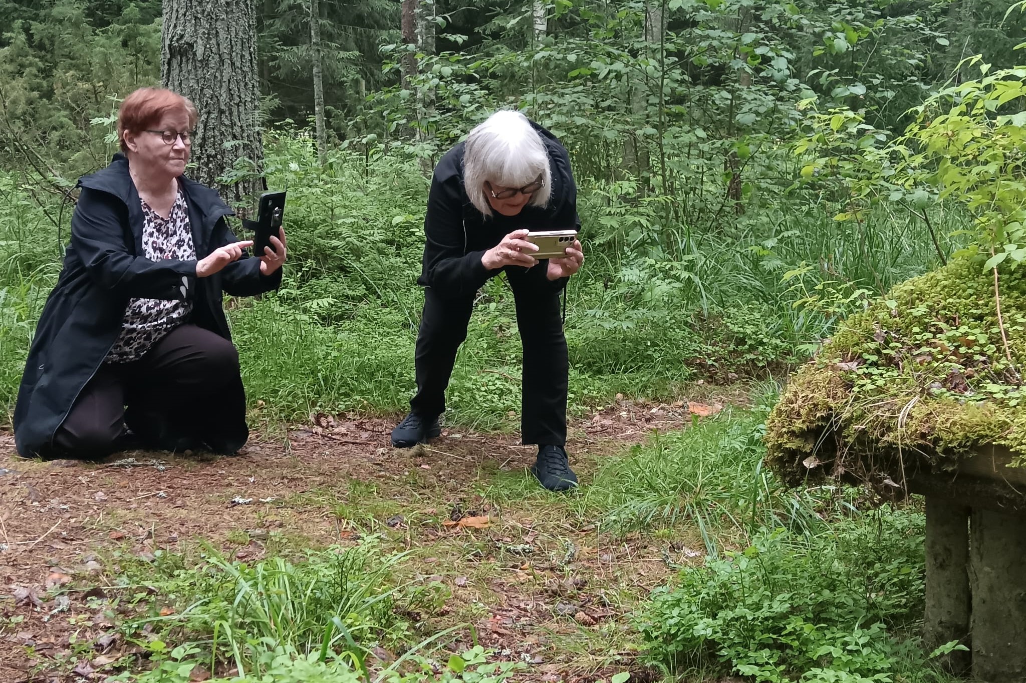 Linssin Läpi löytyy yhteinen innostus