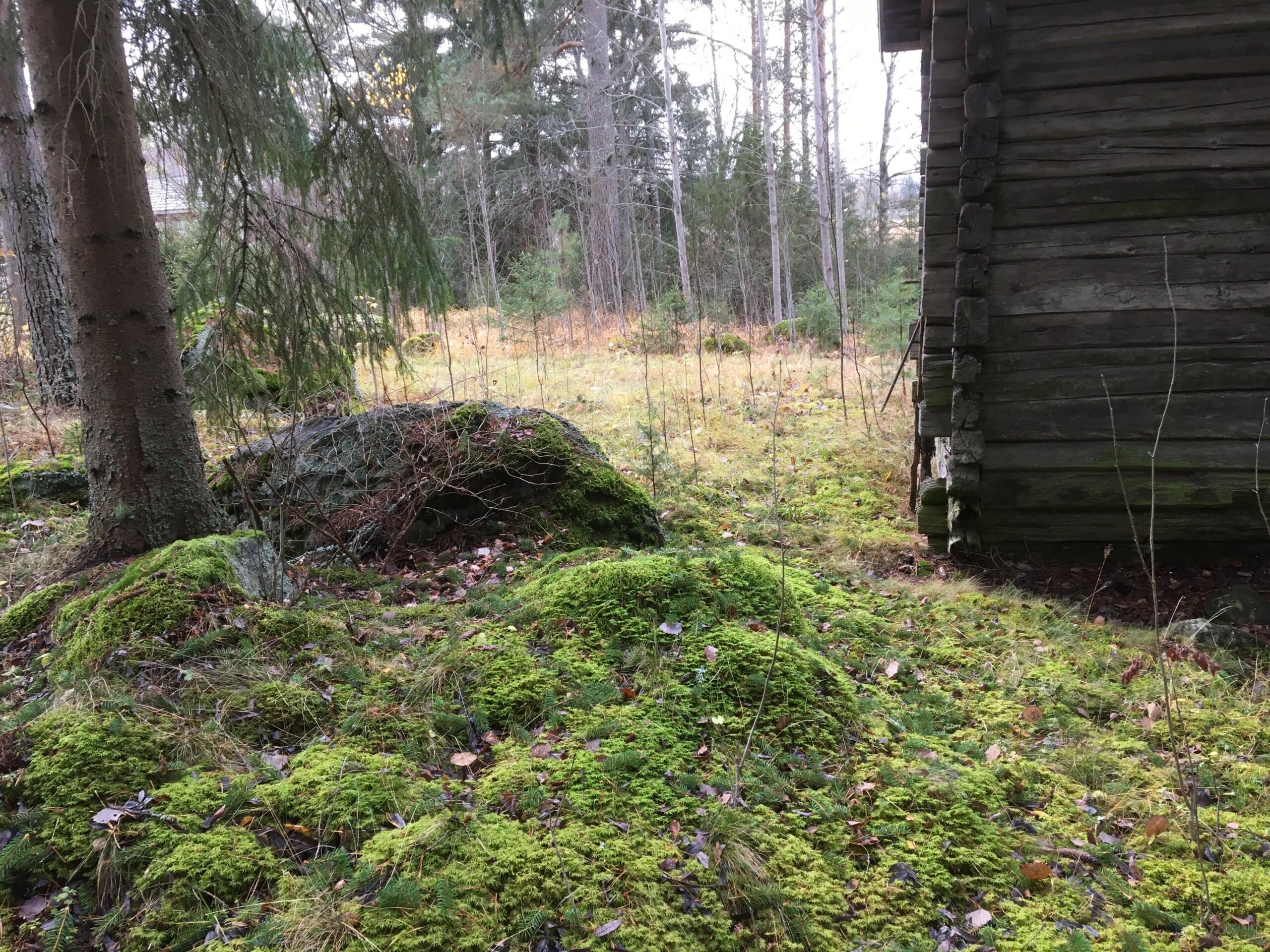 Iltapäivän auringossa -blogi: Matkalla menneisyyteen